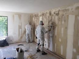 Reliable Palm Springs, FL Mold Prevention & Removal  Solutions